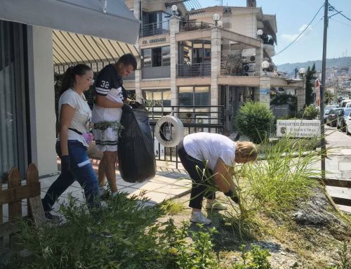 Ένα καλοκαίρι γεμάτο εμπειρίες, δεξιότητες και κοινωνική συμμετοχή!